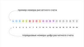 Буквы ООО на номерах: что означают в Рени