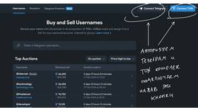 Что дает премиум аккаунт в Telegram в Рени