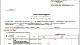 Что такое недоимка по страховым взносам в Рени