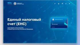 Что значит единый налоговый сальдо в Рени