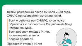 Для чего требуется СНИЛС в Рени