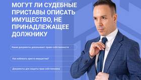 Как наложить арест на имущество должника в Рени