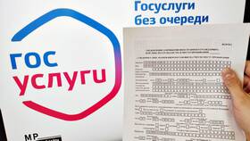Как оформить миграционный учет через Госуслуги в Рени