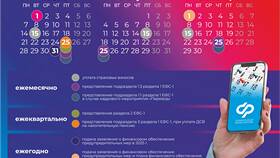 Как оплатить ОСФР за юридическое лицо в Рени