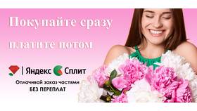 Как оплатить сплит в Рени