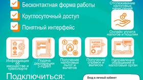 Как отправить налоговую декларацию через Госуслуги в Рени