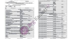 Как получить оригинал выписки из ЕГРЮЛ в Рени
