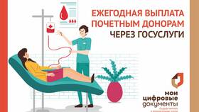 Как получить путинские выплаты через Госуслуги в Рени