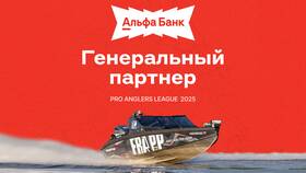 Как скачать Альфа-Банк 2025 в Рени