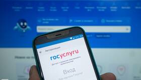 Как восстановить паспорт через Госуслуги в Рени