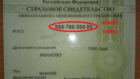 Как выглядит карточка СНИЛС в Рени