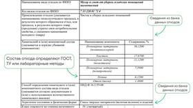 Обязательные действия после получения паспорта в Рени