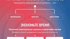 Почему не обновляются приложения налоговых сервисов в Рени