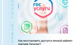 Почему не получается поменять пароль на Госуслугах в Рени
