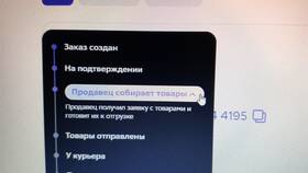 Причины невозможности заказа на Мегамаркете в Рени