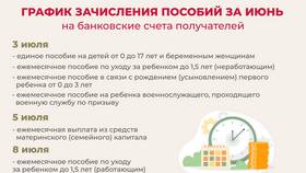 Причины задержек выплат детских пособий в Рени