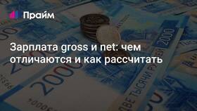 Сумма до вычета налогов: что это значит в Рени