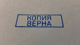 Зачем нужна копия документов в Рени