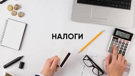 Законные способы оптимизации налогообложения через расходы в Рени