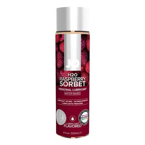 Лубрикант на водной основе с ароматом малины JO Flavored Raspberry Sorbet 120 мл. в Рени